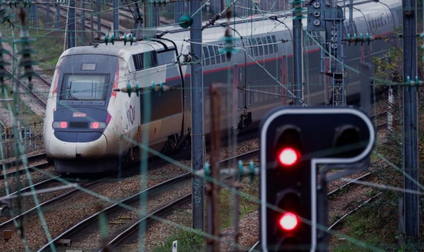 Seine-et-Marne : une dizaine de TGV retardés après un «accident de personne»