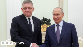 Slovak PM meets Putin in surprise Moscow visit