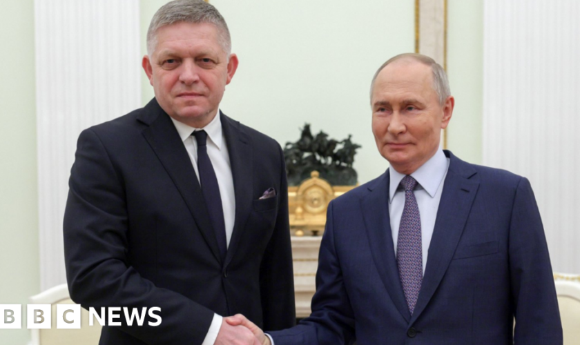 Slovak PM meets Putin in surprise Moscow visit