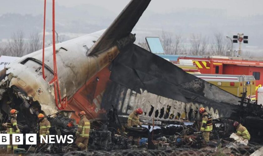 South Korea orders air safety probe after plane crash that killed 179