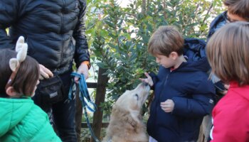 «Soy más bonito por dentro», la iniciativa para educar a los niños sobre la tenencia responsable de perros