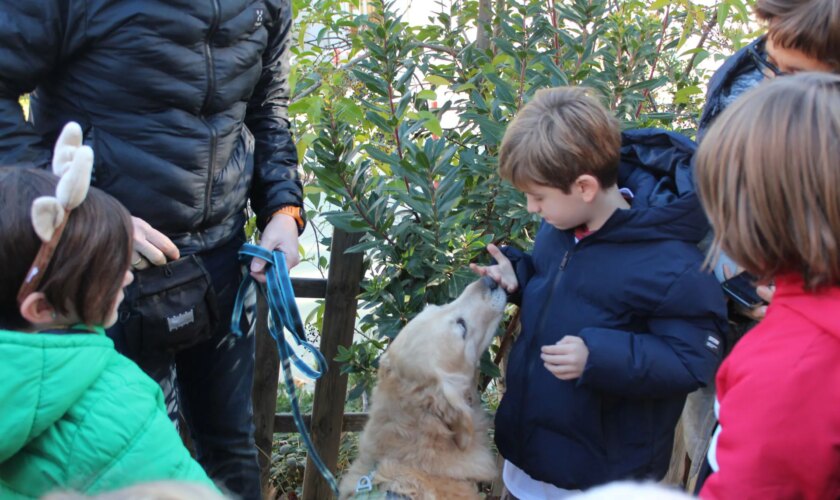 «Soy más bonito por dentro», la iniciativa para educar a los niños sobre la tenencia responsable de perros