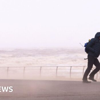 Strong wind warnings continue in wake of Storm Darragh