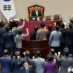 Südkoreas Parlament setzt auch Interimspräsident ab