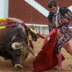 Sumar impulsa una ley para prohibir la entrada de los menores en los toros y que den clases en las escuelas taurinas