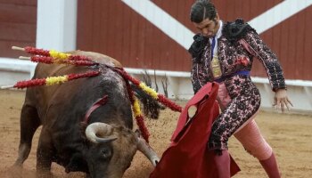 Sumar impulsa una ley para prohibir la entrada de los menores en los toros y que den clases en las escuelas taurinas