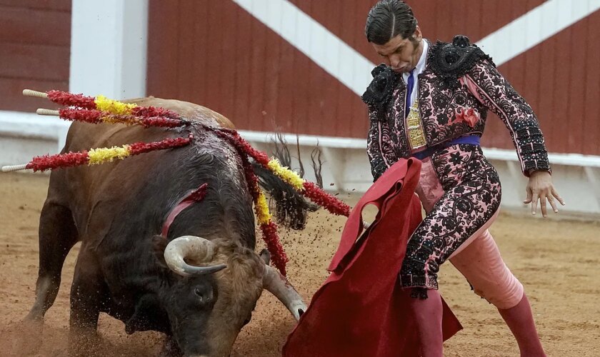 Sumar impulsa una ley para prohibir la entrada de los menores en los toros y que den clases en las escuelas taurinas