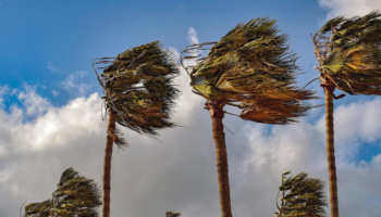 Suspendidas las clases en El Hierro, Tenerife, La Gomera y zonas de La Palma