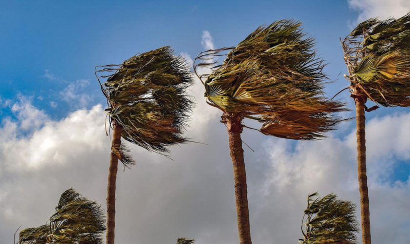 Suspendidas las clases en El Hierro, Tenerife, La Gomera y zonas de La Palma