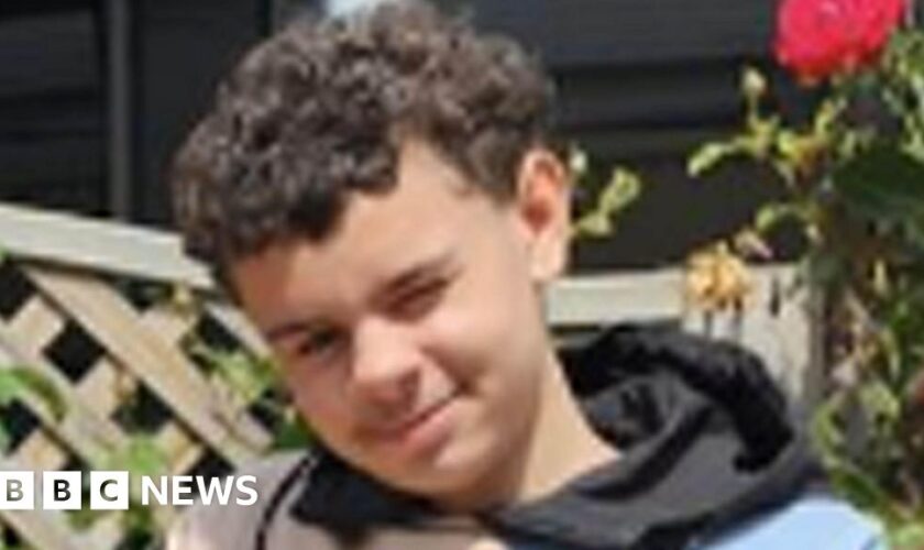 Teens jailed for murder of boy stabbed in park