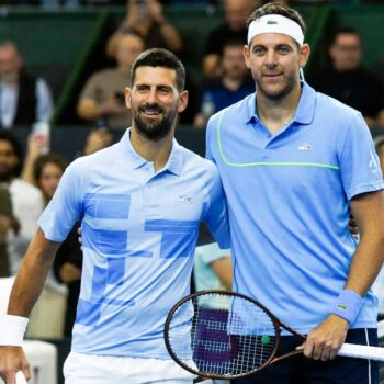 Tennis : « Martin est un exemple pour nous », l’hommage de Djokovic pour les touchants adieux de Del Potro