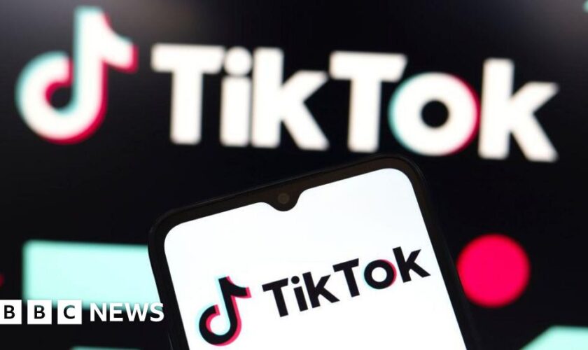 TikTok asks for emergency pause to looming US ban