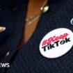 TikTok gets permission to challenge potential US ban at Supreme Court