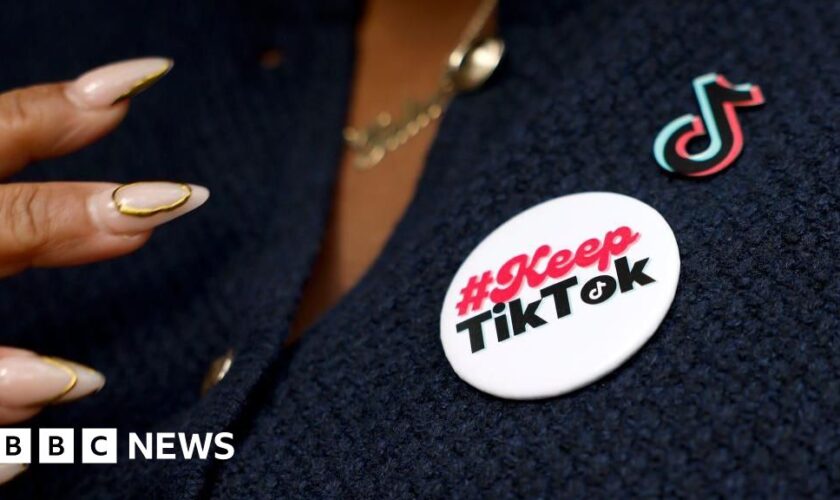 TikTok gets permission to challenge potential US ban at Supreme Court