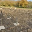 Trafic de terres polluées dans la forêt de Maubuisson : des gens du voyage « aux pratiques mafieuses » arrêtés