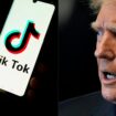 Trump asks Supreme Court to delay law that could ban TikTok