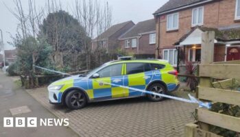 Two arrests after baby injured in dog attack