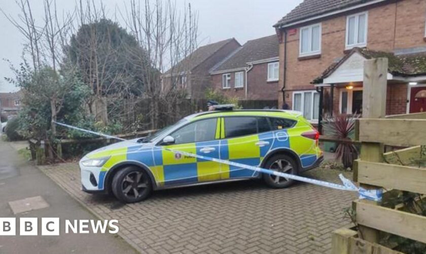 Two arrests after baby injured in dog attack