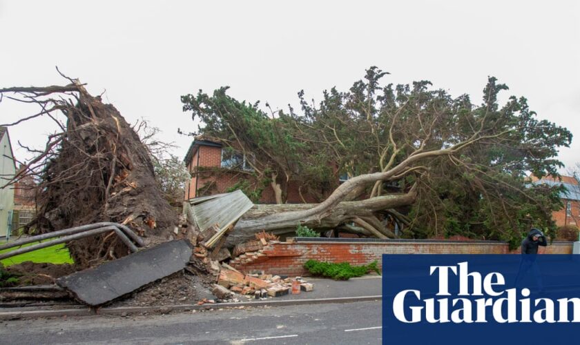 Two men killed by falling trees as Storm Darragh brings winds of nearly 100mph