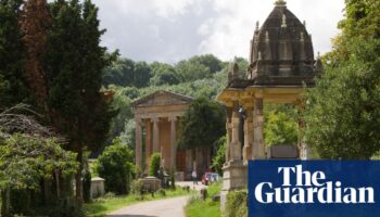 UK churchyards are havens for rare wildlife, finds conservation charity