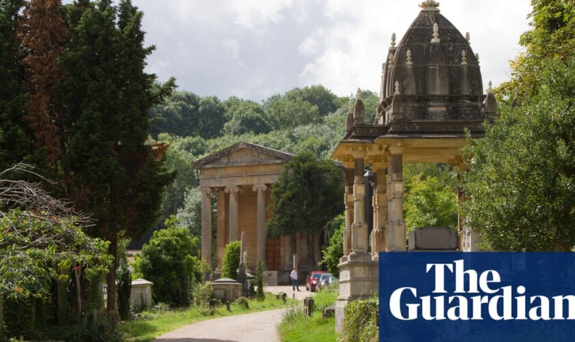 UK churchyards are havens for rare wildlife, finds conservation charity