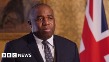 UK in 'diplomatic contact' with Syrian rebels, says Lammy