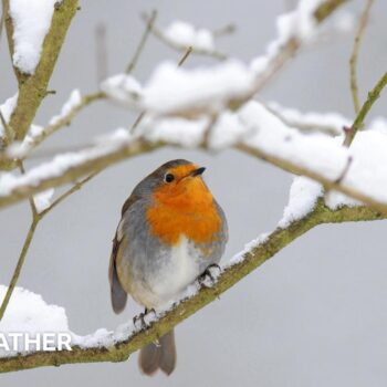 UK snow: Five things you might not know