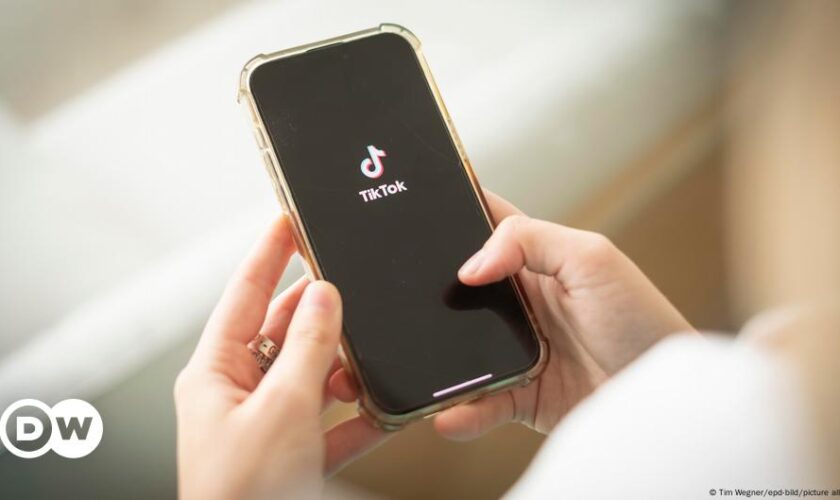 US: TikTok asks Supreme Court to block nationwide ban