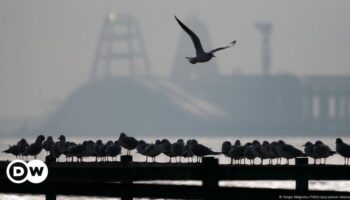 Ukraine: Oil spill off Crimea poses huge environmental risk