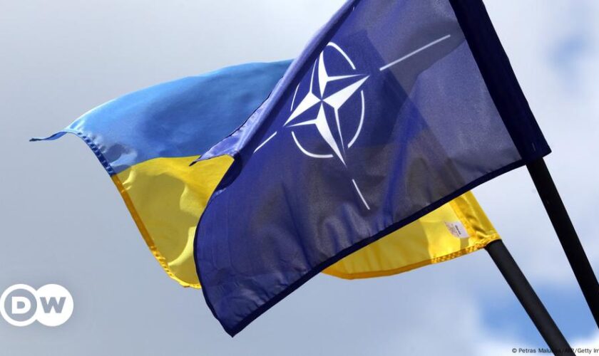 Ukraine pushes for NATO membership, but it's complicated