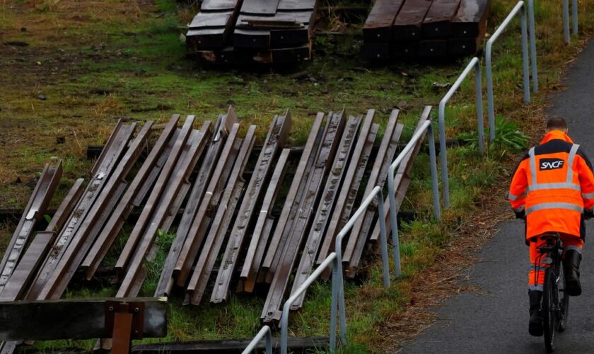 «Végétaliser sa ville c’est bien, mais ça ne doit pas se faire au détriment de la sécurité»: quand les maires écolos sont critiqués par leurs administrés