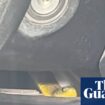 Venomous tiger snake slithers up driver’s leg on Melbourne freeway