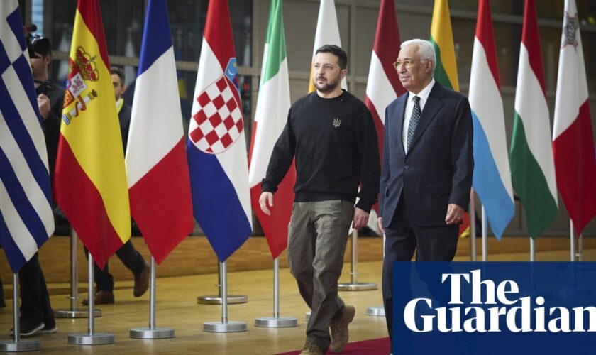 Volodymyr Zelenskyy tells Ukraine’s diplomats to fight for Nato membership