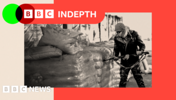 What now for Syria’s £4.5bn illegal drug empire