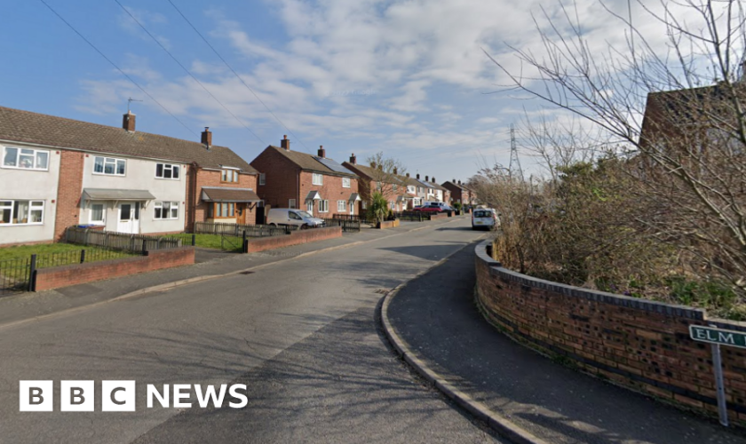 Woman arrested over Christmas Day village murder