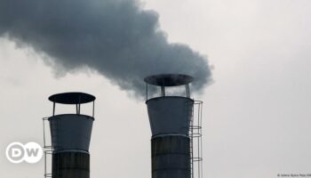 World coal use to hit record high in 2024 amid climate concerns: IEA report