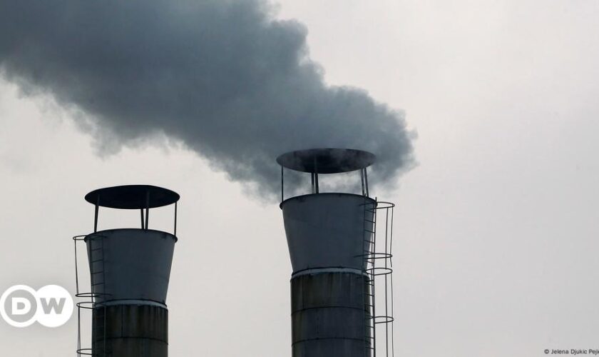 World coal use to hit record high in 2024 amid climate concerns: IEA report