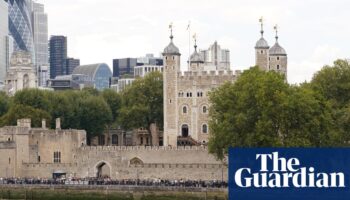 ‘Illegally smuggled’ cannon at Tower of London subject of dispute with Ireland