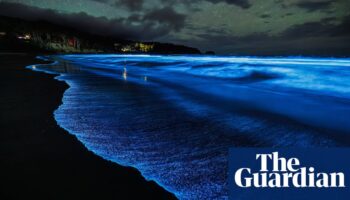 ‘Heck of a light show’: spectacular bloom of bioluminescence returns to Tasmania’s coastline