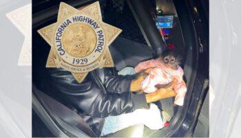 California Highway Patrol gets in some monkey business during routine stop