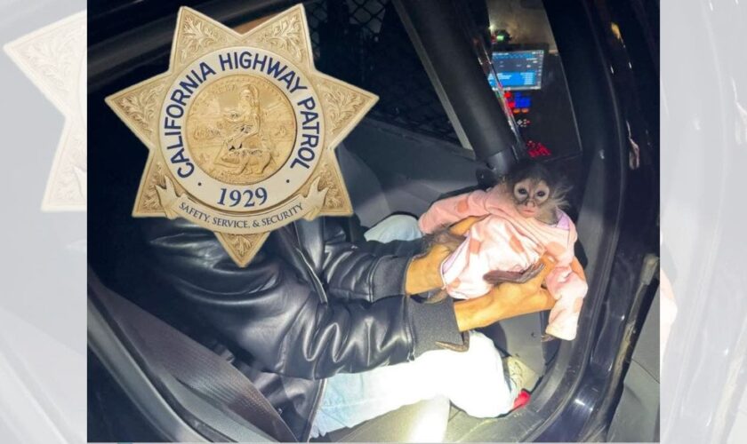 California Highway Patrol gets in some monkey business during routine stop