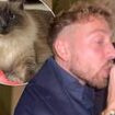 Sam Thompson downs shots during booze-fuelled New Year's Eve party with his Made In Chelsea 'firm' - while girlfriend Zara McDermott stays at home with her pet cat