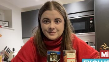 'I tried Heinz beans dupes from Aldi, Tesco and M&S - one perfect mimic was less than half the price'