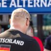 AfD und Homosexualität: »Einige Schwule fühlen sich angezogen von männlicher Identitätspolitik«