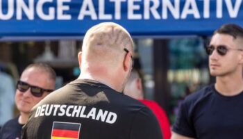 AfD und Homosexualität: »Einige Schwule fühlen sich angezogen von männlicher Identitätspolitik«