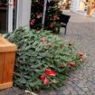 Wetter an Neujahr: Orkanböen auf dem Brocken, starker Wind in Deutschlands Nordhälfte