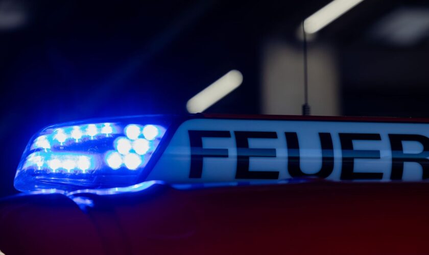 Feuerwehr-Großeinsatz im Landkreis Görlitz (Symbolbild) Foto: Rolf Vennenbernd/dpa