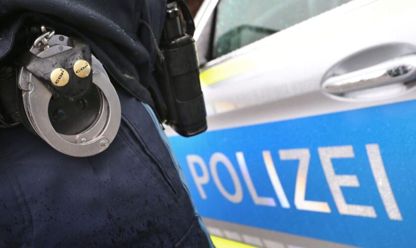 Ein 32-Jähriger verletzt einen Mann mit einer Machete schwer am Kopf. (Symbolbild) Foto: Karl-Josef Hildenbrand/dpa