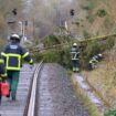 Am Neujahrstag musste die Feuerwehr wegen Sturmschäden ausrücken. (Archivbild) Foto: Jonas Walzberg/dpa