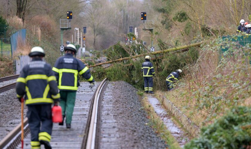 Am Neujahrstag musste die Feuerwehr wegen Sturmschäden ausrücken. (Archivbild) Foto: Jonas Walzberg/dpa